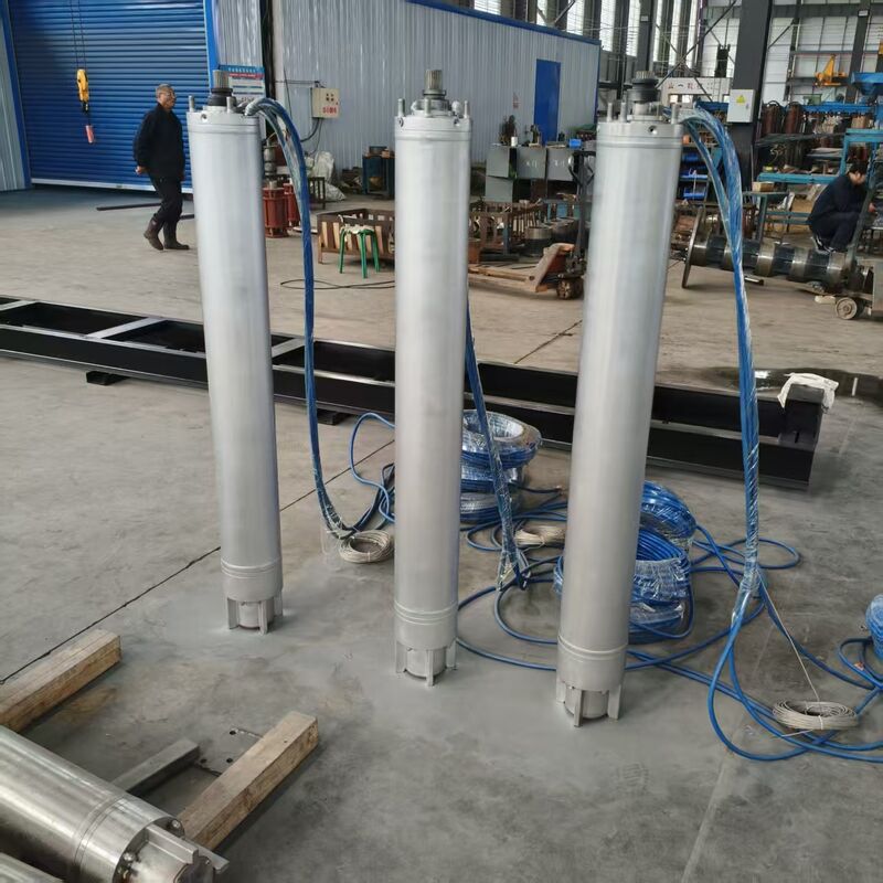Zware dompelpomp voor olie- en gasboorplatforms in het Midden-Oosten