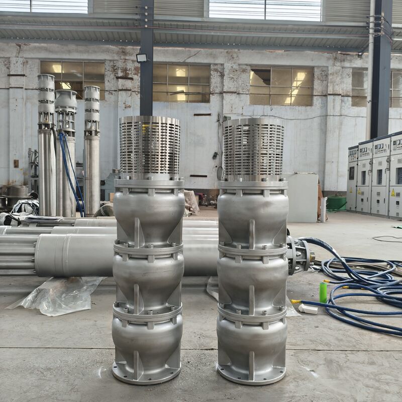 6 inch duplex roestvrij staal 2205 diep put onderwater pomp met 15 m3/h stroom en 180m hoofd