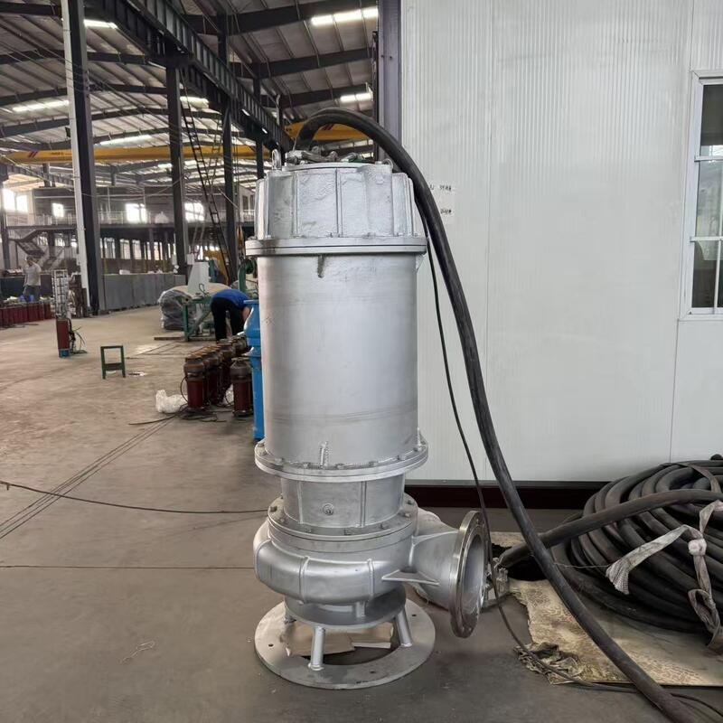 Onderwaterpomp van roestvrij staal voor het afvoeren van afvalwater met een stroom van 80 m3/uur en een hoofd van 10 m