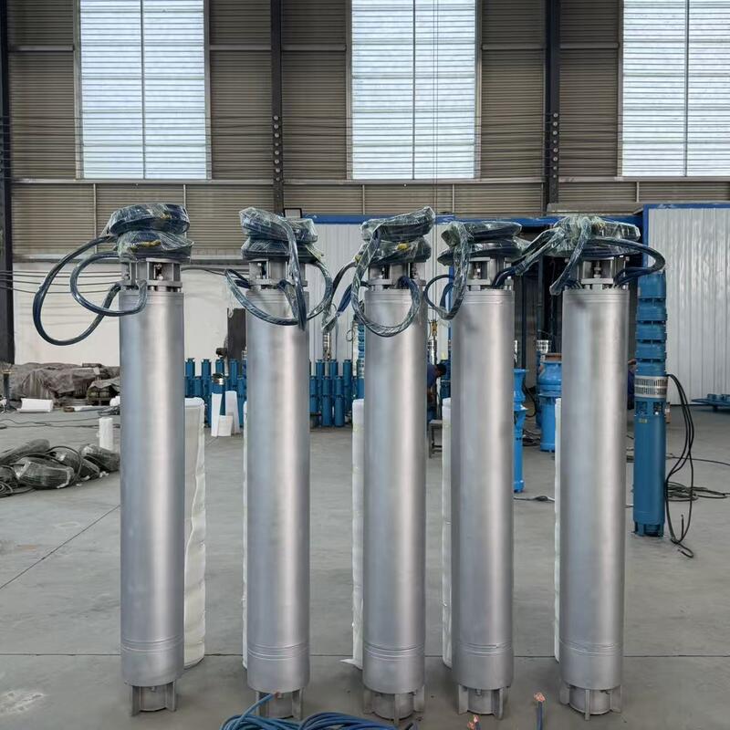Roestvrijstalen zeewaterdompelpomp met meertraps ontwerp met hoge opvoerhoogte en aanpasbare configuraties