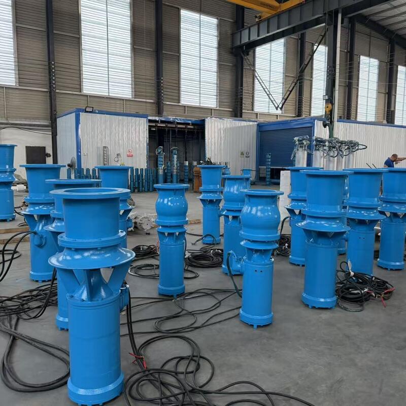 45 kW onderwater-axiale stroompomp met een stroom van 1300 m3/h en een hoofd van 8 m voor stroomdrenage