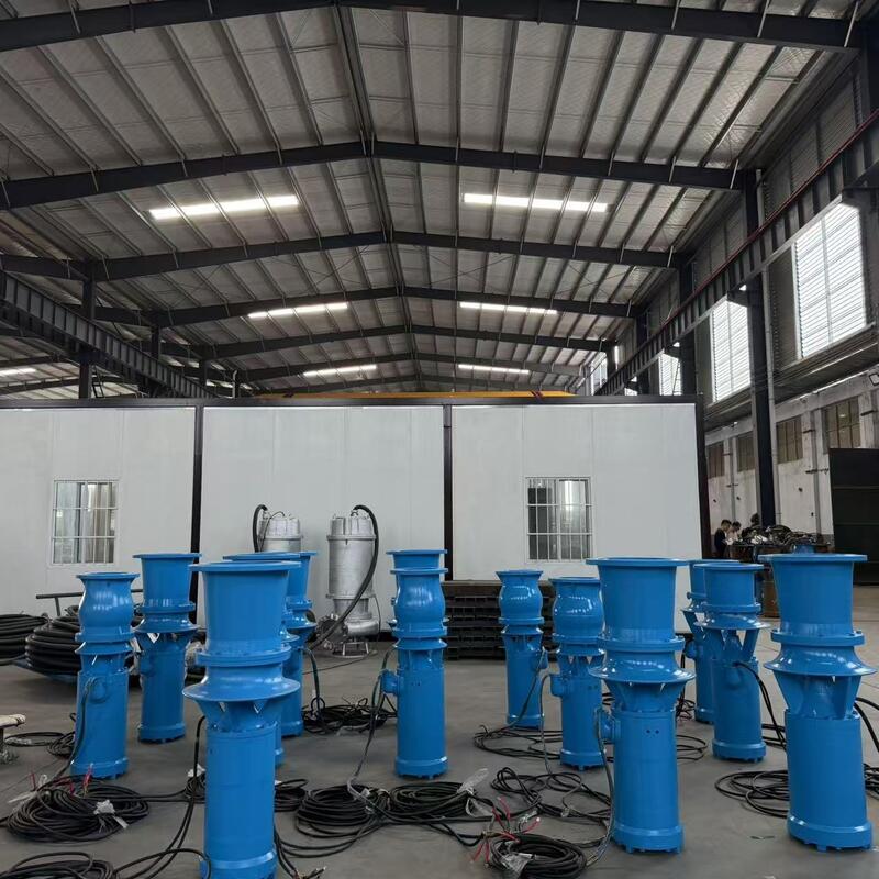 45 kW onderwater-axiale stroompomp met een stroom van 1300 m3/h en een hoofd van 8 m voor stroomdrenage