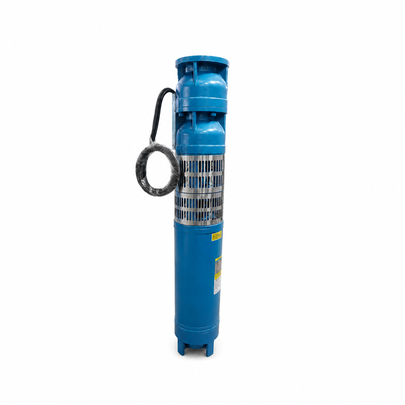 22kW Dompelpomp voor Diepe Put met SS304 Waaiers en 160 m³/u Debiet voor Grondwaterwinning