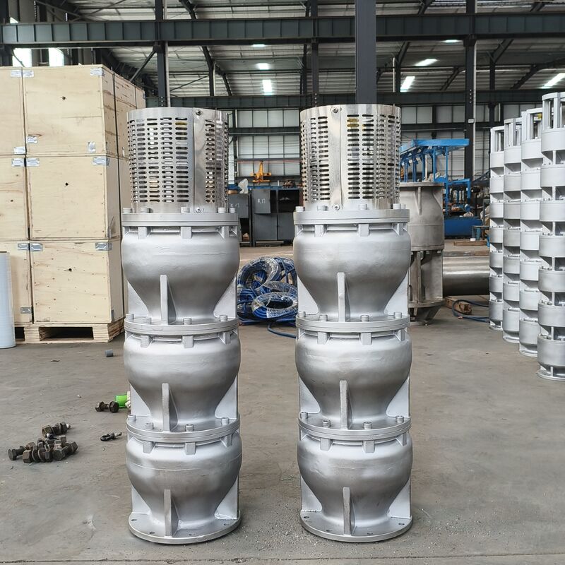 525 m3/h Stroom 350 m Hoofd 1000 kW Vermogen Roestvrij staal Diepwaterput Onderwater zeewaterpomp