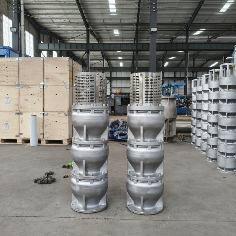525 m3/h Stroom 350 m Hoofd 1000 kW Vermogen Roestvrij staal Diepwaterput Onderwater zeewaterpomp