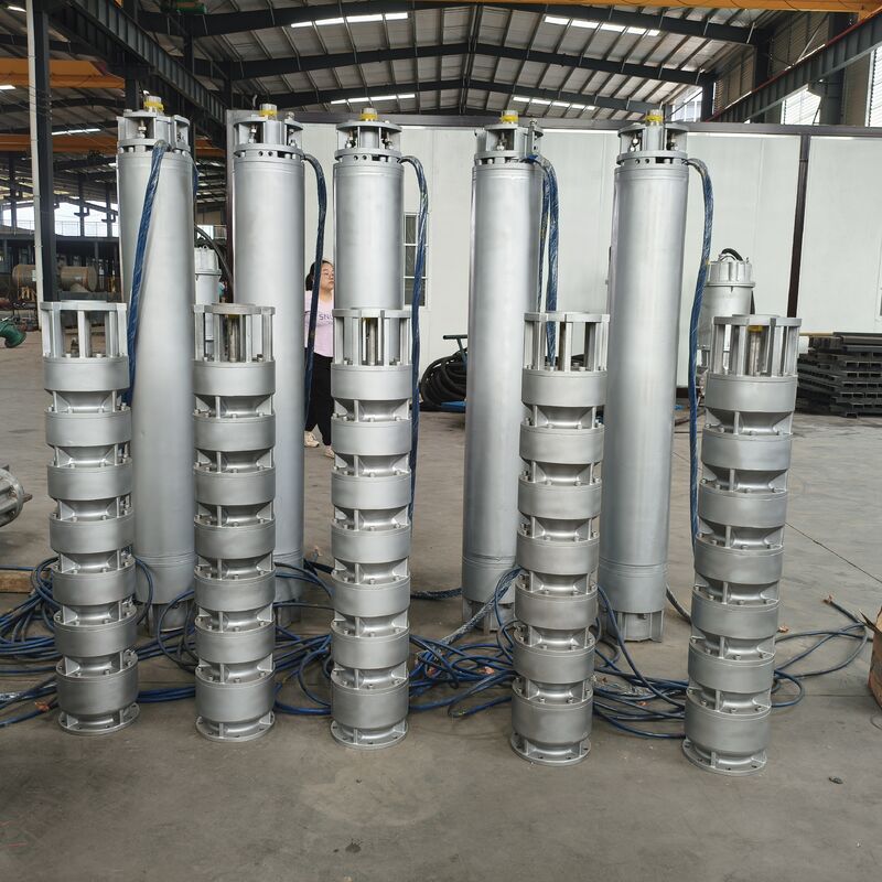 525 m3/h Stroom 350 m Hoofd 1000 kW Vermogen Roestvrij staal Diepwaterput Onderwater zeewaterpomp