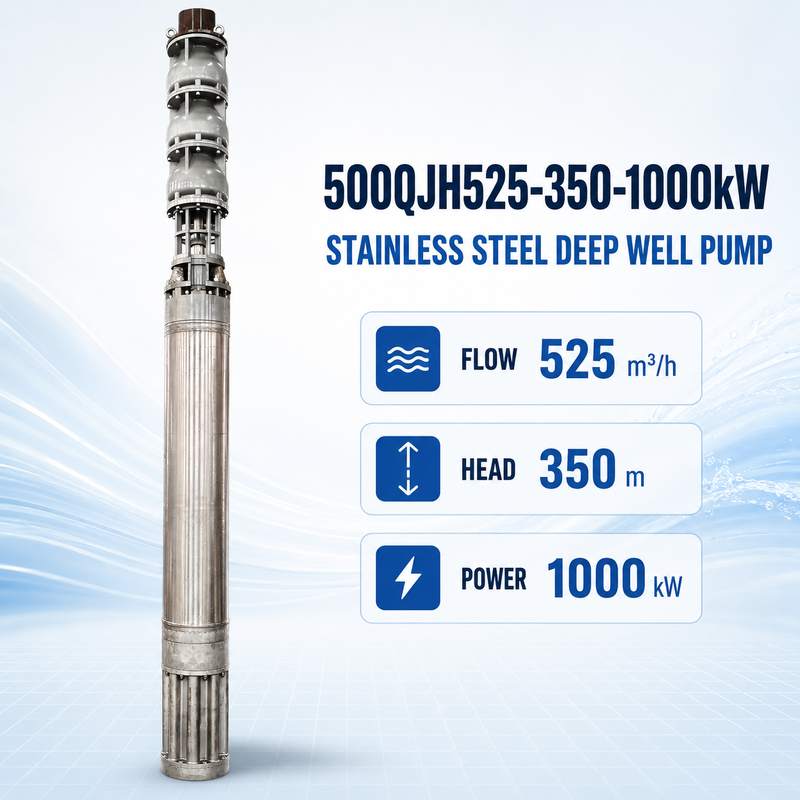 525 m3/h Stroom 350 m Hoofd 1000 kW Vermogen Roestvrij staal Diepwaterput Onderwater zeewaterpomp