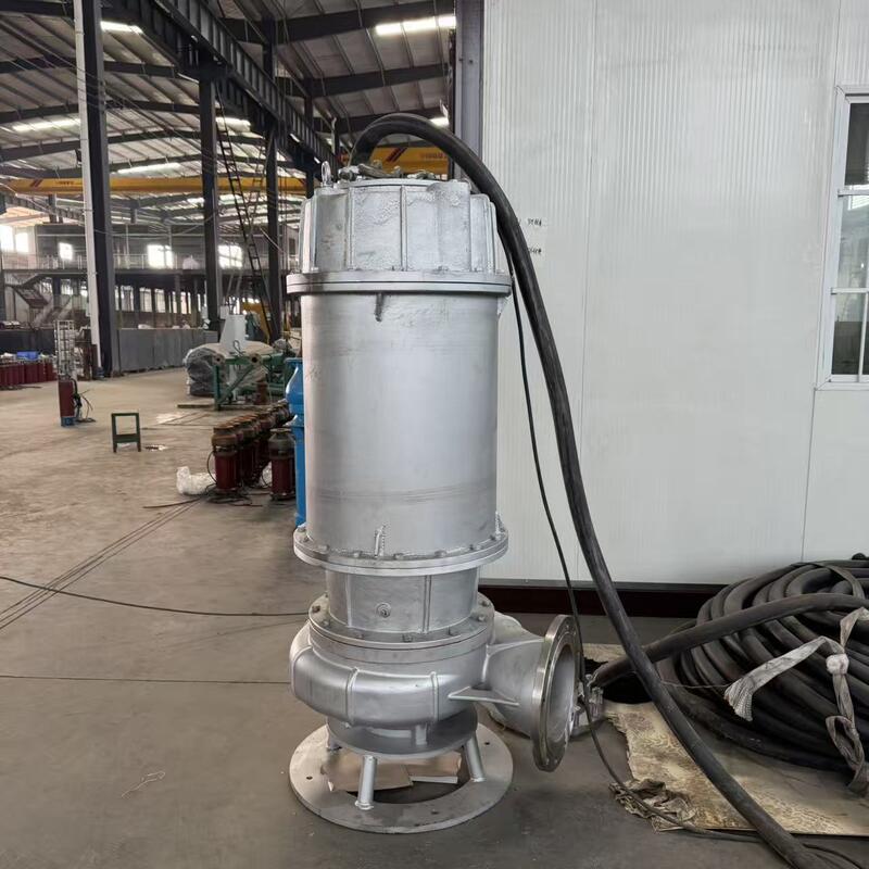316 Roestvrijstalen Dompelpomp voor Afvalwater met een Debiet van 1000 m³/u en een 2205 Duplex Roestvrijstalen As