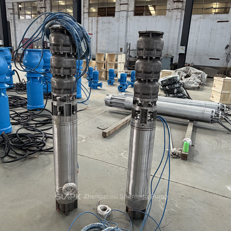 Onderwaterputpomp van roestvrij staal met een doorstroming van 252 m3/h, 170 m kop en 185 kW vermogen