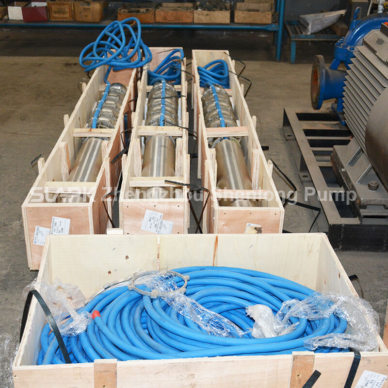300 m3/h Hoge stroom 100 m Hoofd 140 kW Motor diepe put onderwaterpomp voor zeewatertoepassingen