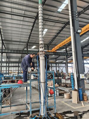 Corrosiebestendige Super Duplex onderwaterpomp van roestvrij staal voor zeewater met een hoog zoutgehalte