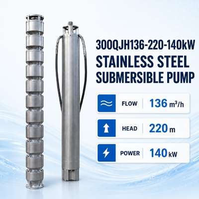 140 kW RVS Dompelpomp met 220 m opvoerhoogte en 136 m³/u debiet voor diepwaterputtoepassingen