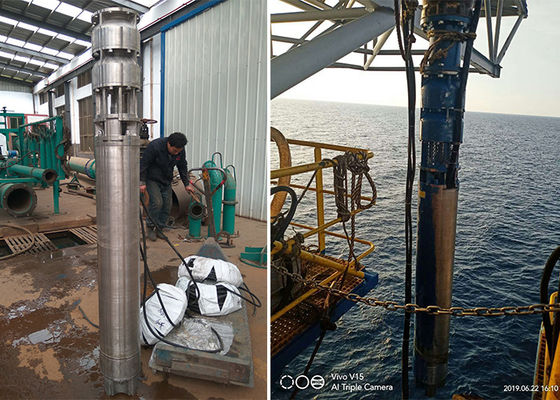 Zeewater diep put onderwaterpomp 75kw 100 pk SS316L Materiaal 60m Hoofd